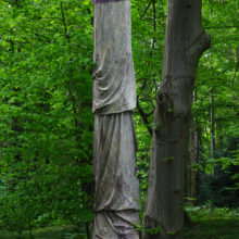 Luc Vandervelde Lux - More trees, Less assholes   